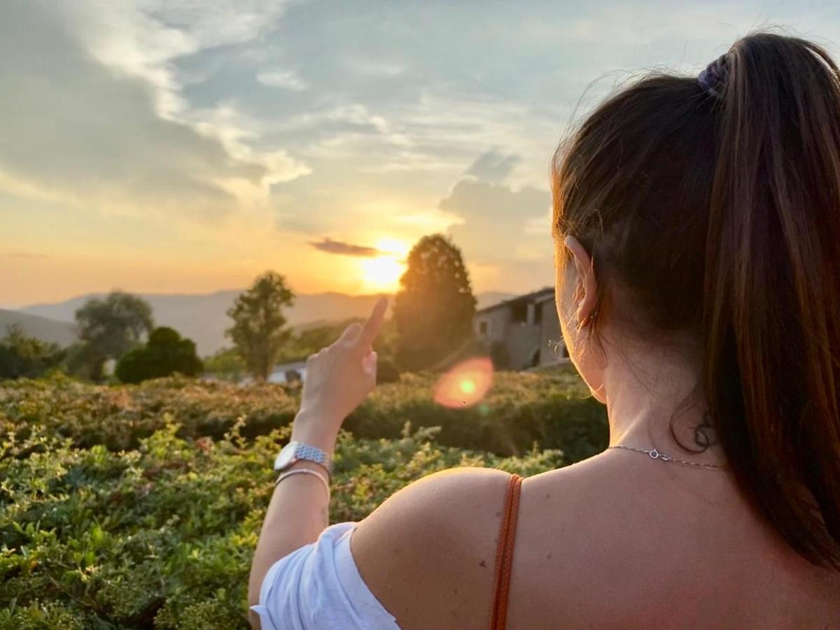 Agriturismo Le Case Assisi Kültér fotó