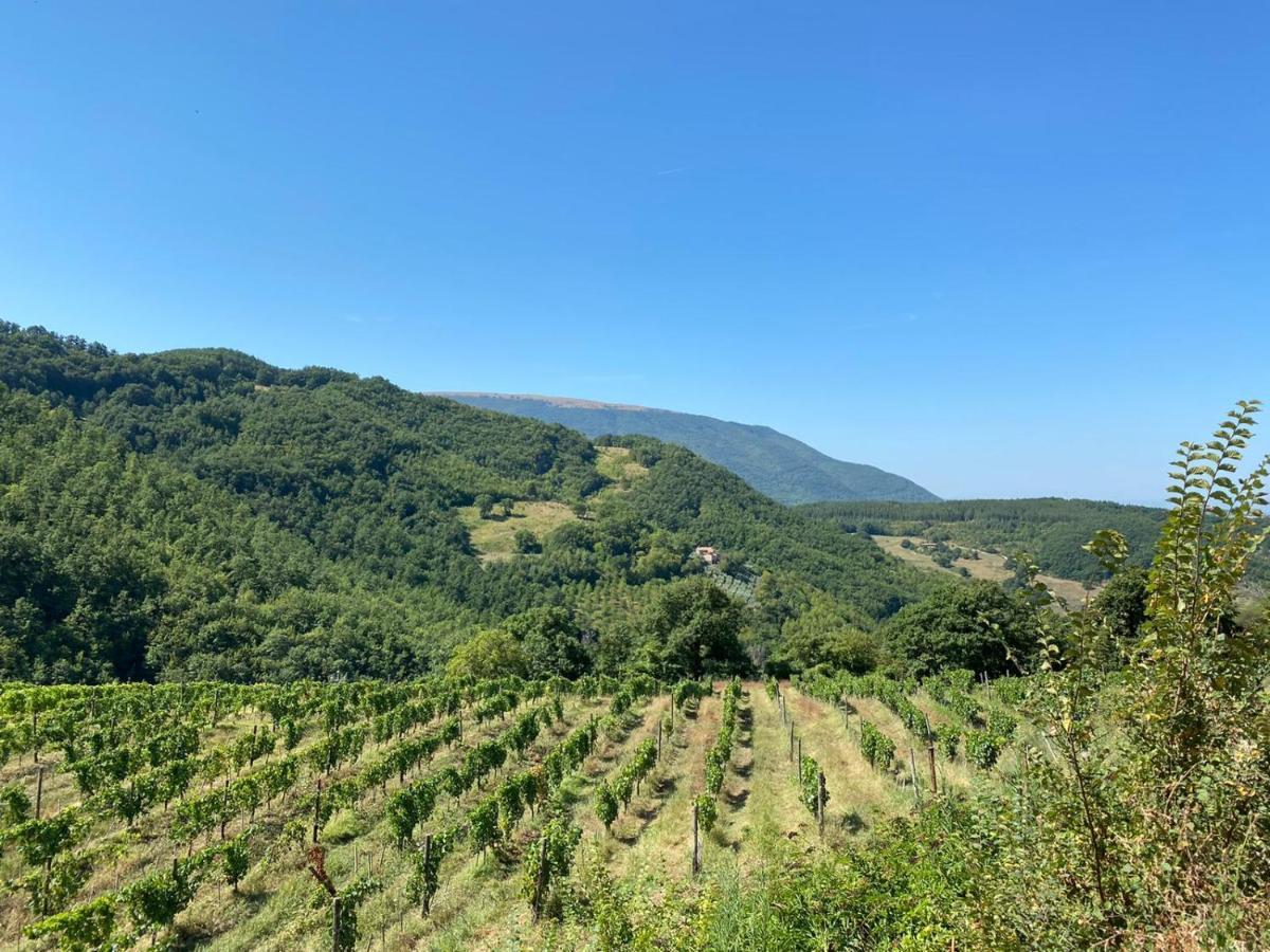 Agriturismo Le Case Assisi Kültér fotó