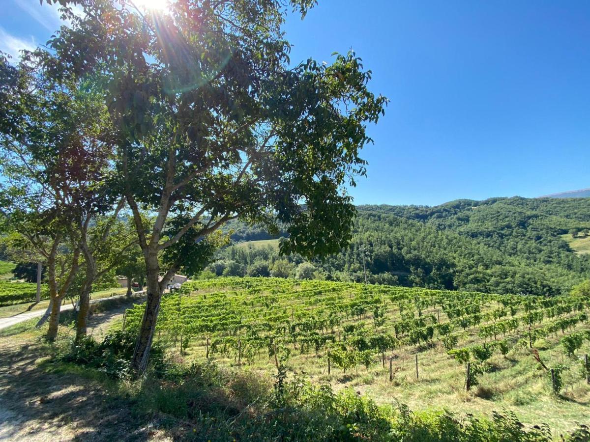 Agriturismo Le Case Assisi Kültér fotó