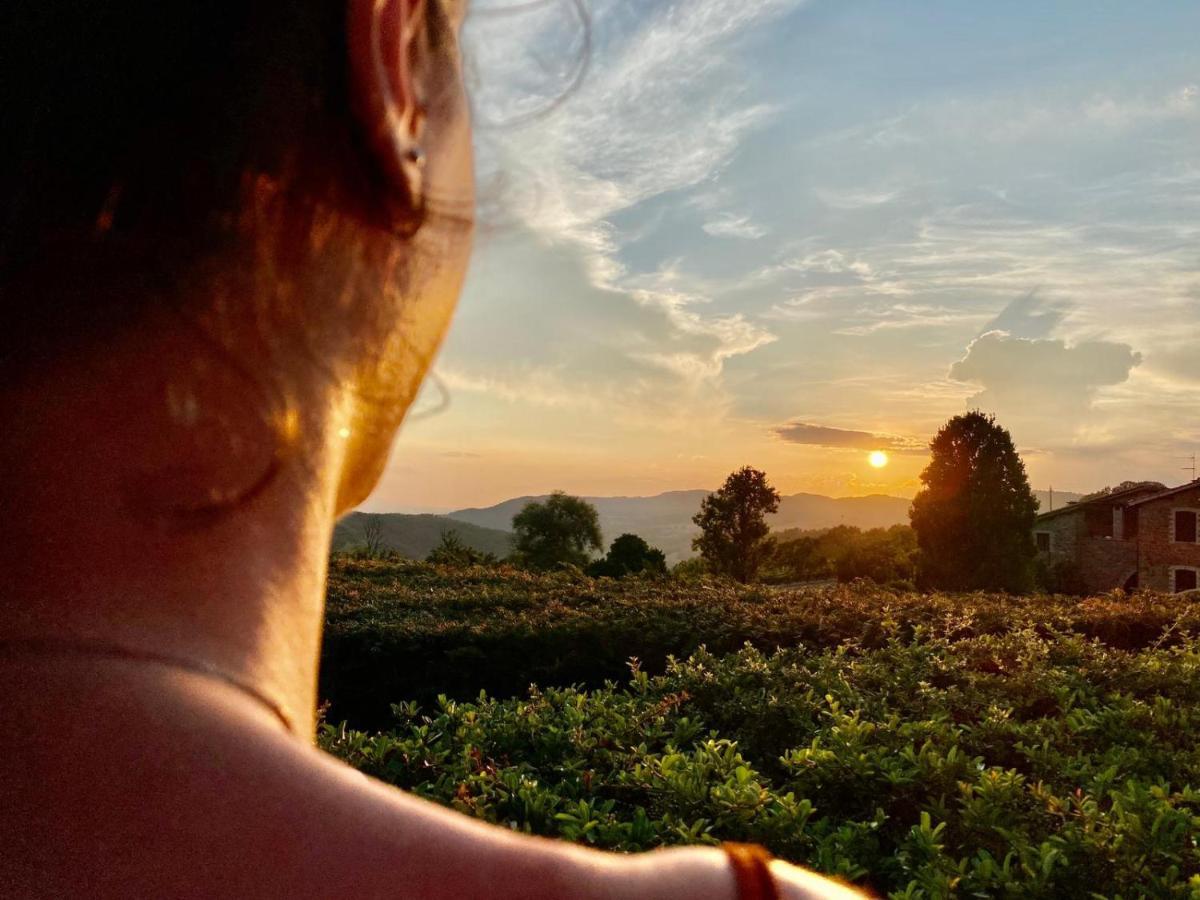 Agriturismo Le Case Assisi Kültér fotó