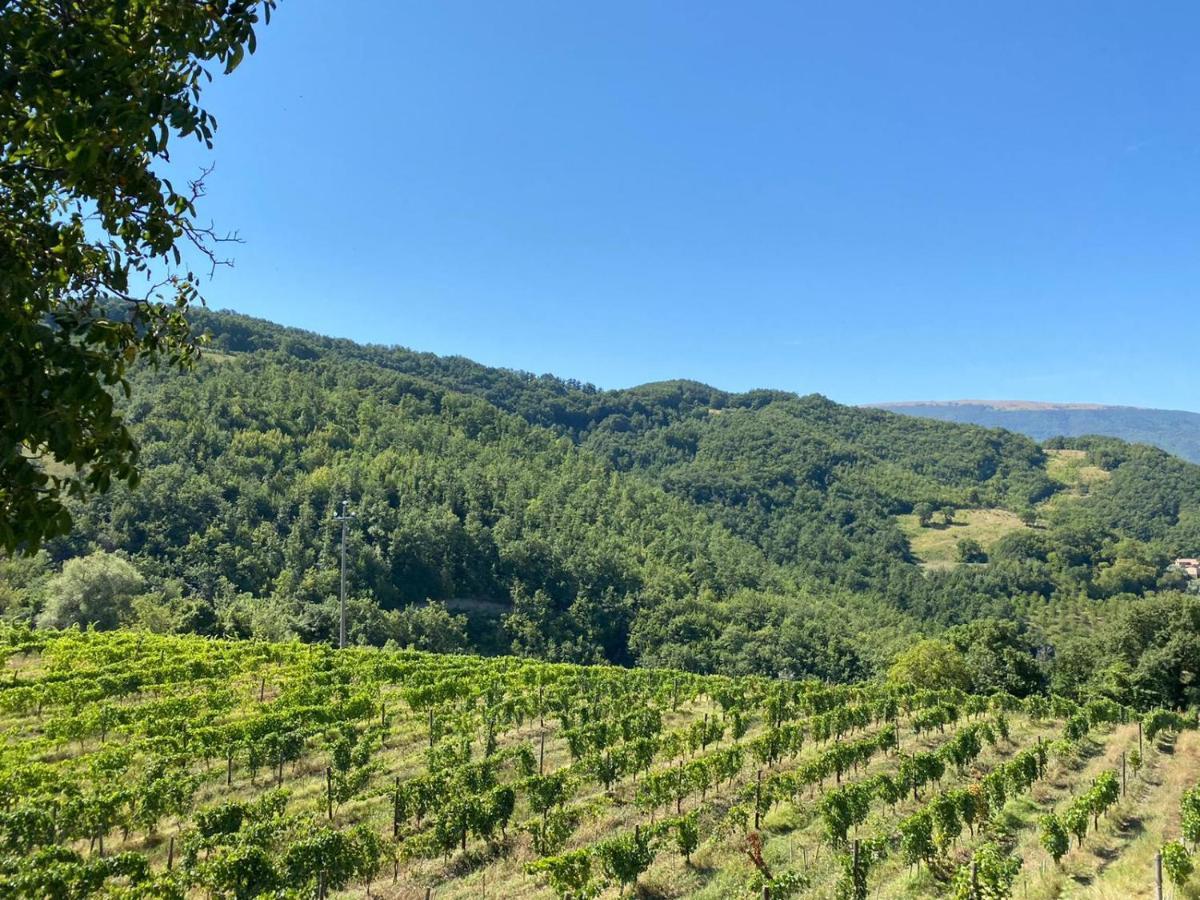 Agriturismo Le Case Assisi Kültér fotó