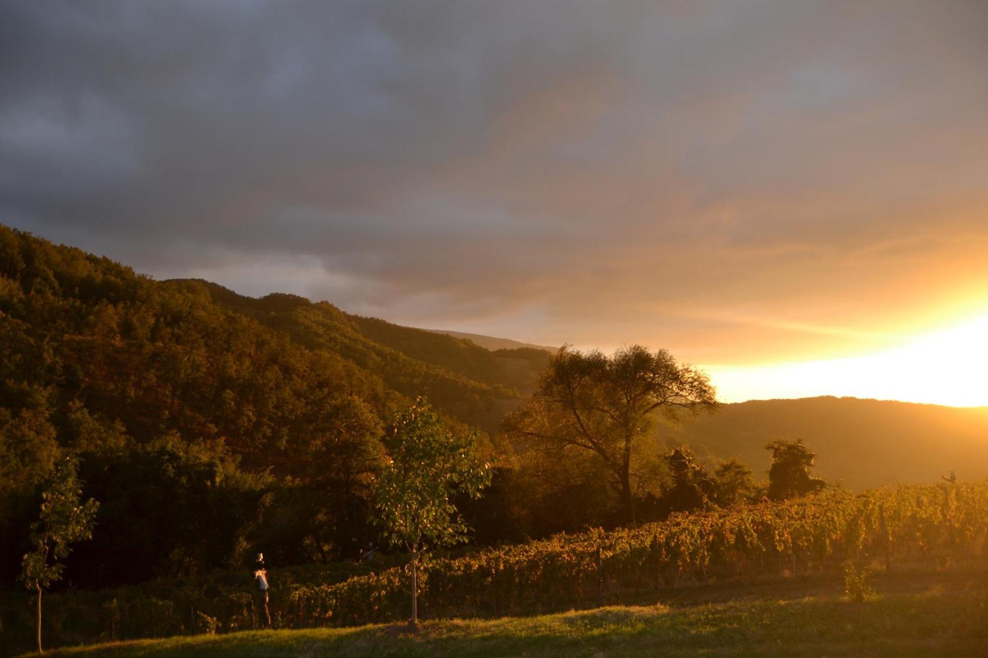 Agriturismo Le Case Assisi Kültér fotó