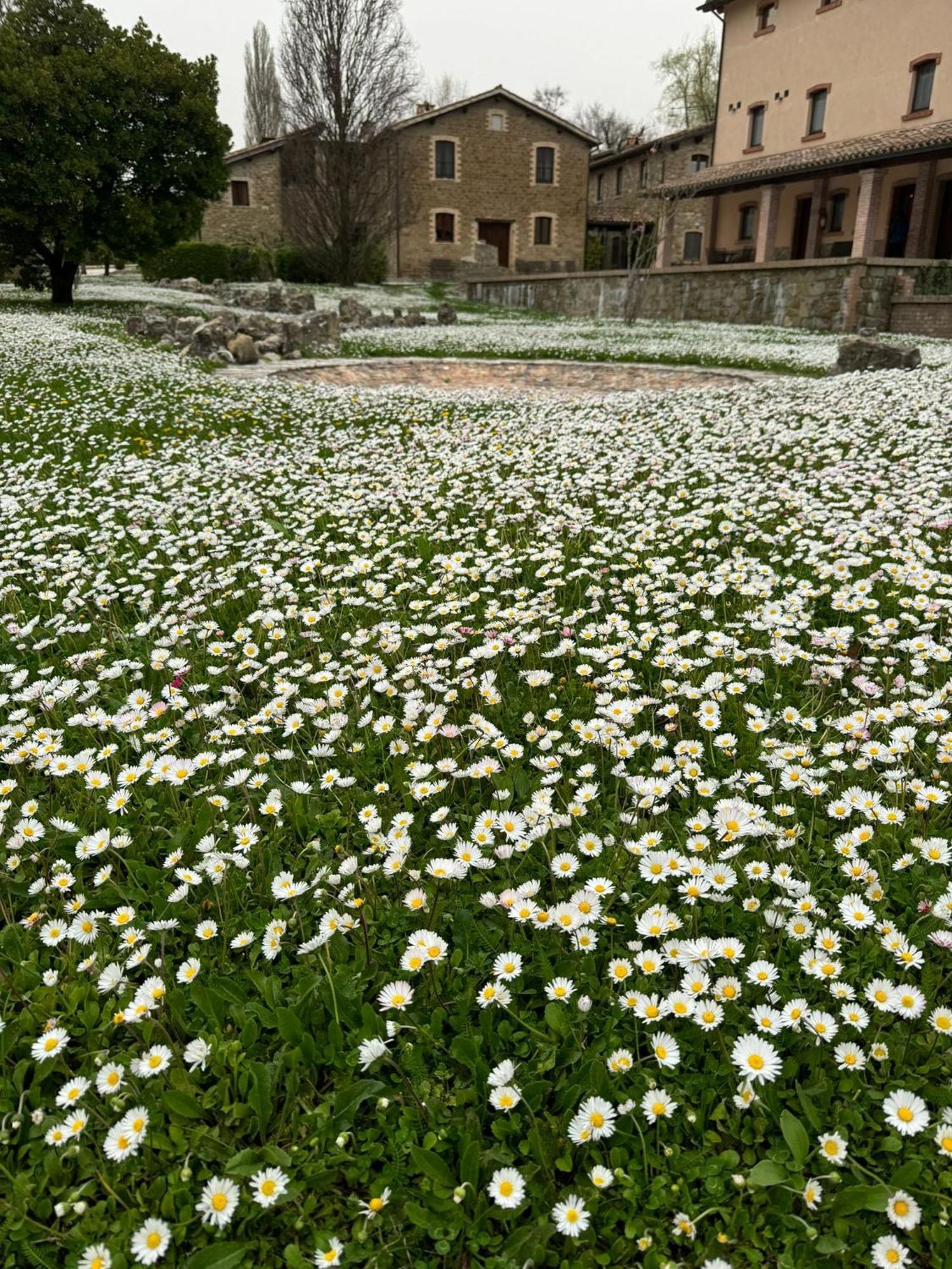 Agriturismo Le Case Assisi Kültér fotó