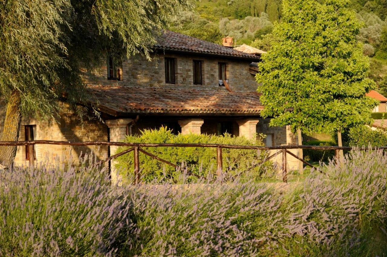 Agriturismo Le Case Assisi Kültér fotó
